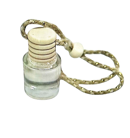 Baja Cactus Hanging Car Diffuser – Fresh Desert & Citrus